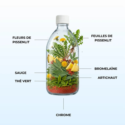 Détox Draineur Slim 3-en-1 | Formule Ultra Concentrée